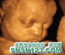 怀孕228天宝宝发育图
