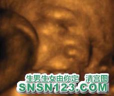 怀孕241天宝宝发育图