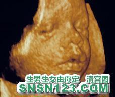 怀孕218天宝宝发育图