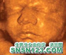 怀孕246天宝宝发育图