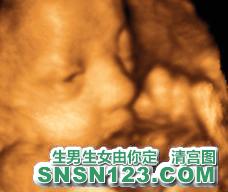 怀孕237天宝宝发育图