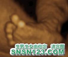 怀孕203天宝宝发育图