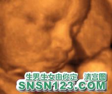 怀孕231天宝宝发育图