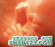 怀孕140天宝宝发育图