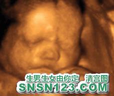 怀孕213天宝宝发育图