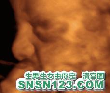 怀孕151天宝宝发育图