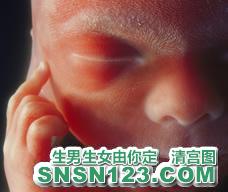 怀孕148天宝宝发育图