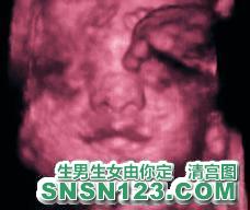 怀孕181天宝宝发育图