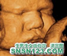 怀孕265天宝宝发育图