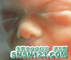 怀孕143天宝宝发育图