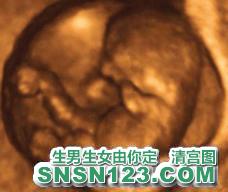 怀孕84天宝宝发育图