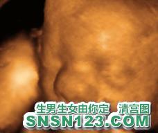 怀孕249天宝宝发育图