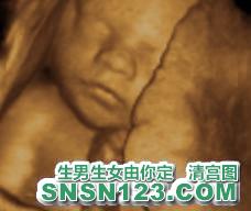 怀孕216天宝宝发育图