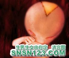怀孕82天宝宝发育图