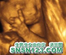 怀孕194天宝宝发育图