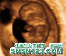 怀孕72天宝宝发育图