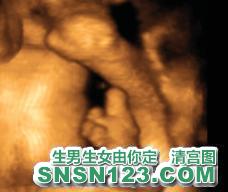 怀孕235天宝宝发育图