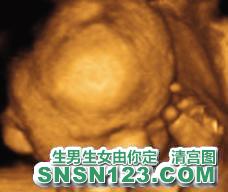 怀孕195天宝宝发育图