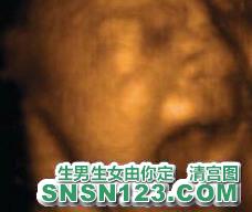 怀孕211天宝宝发育图