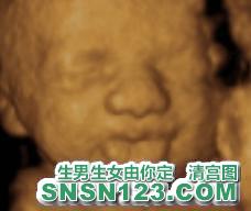 怀孕185天宝宝发育图