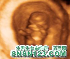 怀孕66天宝宝发育图