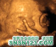怀孕219天宝宝发育图