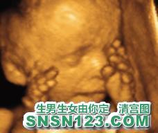 怀孕191天宝宝发育图
