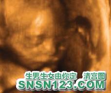 怀孕137天宝宝发育图