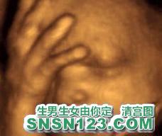怀孕210天宝宝发育图