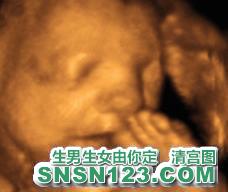 怀孕225天宝宝发育图