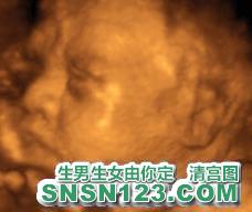 怀孕222天宝宝发育图