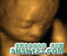 怀孕175天宝宝发育图