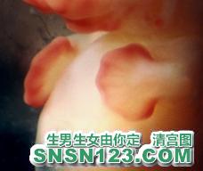 怀孕61天宝宝发育图
