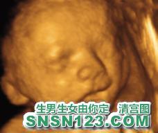 怀孕192天宝宝发育图
