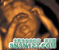 怀孕132天宝宝发育图