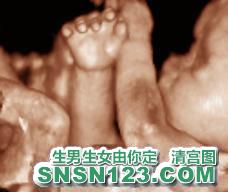 怀孕263天宝宝发育图
