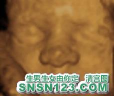 怀孕208天宝宝发育图