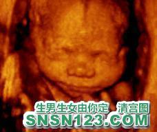 怀孕182天宝宝发育图