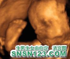怀孕209天宝宝发育图