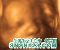 怀孕212天宝宝发育图