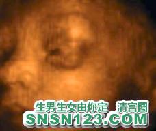 怀孕199天宝宝发育图