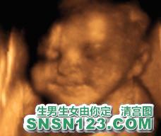 怀孕227天宝宝发育图