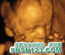 怀孕190天宝宝发育图