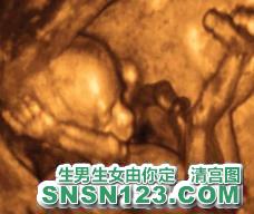 怀孕125天宝宝发育图