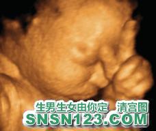 怀孕233天宝宝发育图