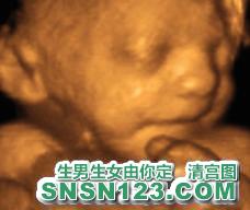 怀孕230天宝宝发育图
