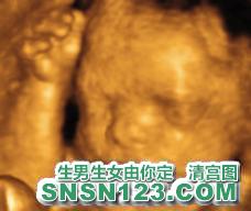 怀孕198天宝宝发育图