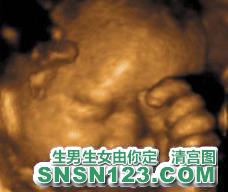 怀孕220天宝宝发育图