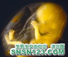 怀孕134天宝宝发育图