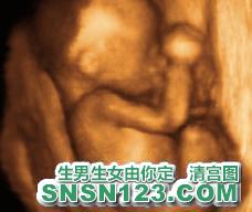 怀孕135天宝宝发育图